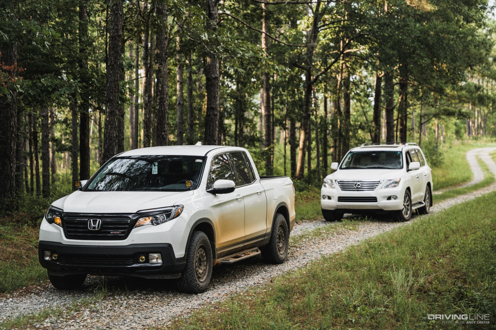 Georgia Adventure Trail Piedmont