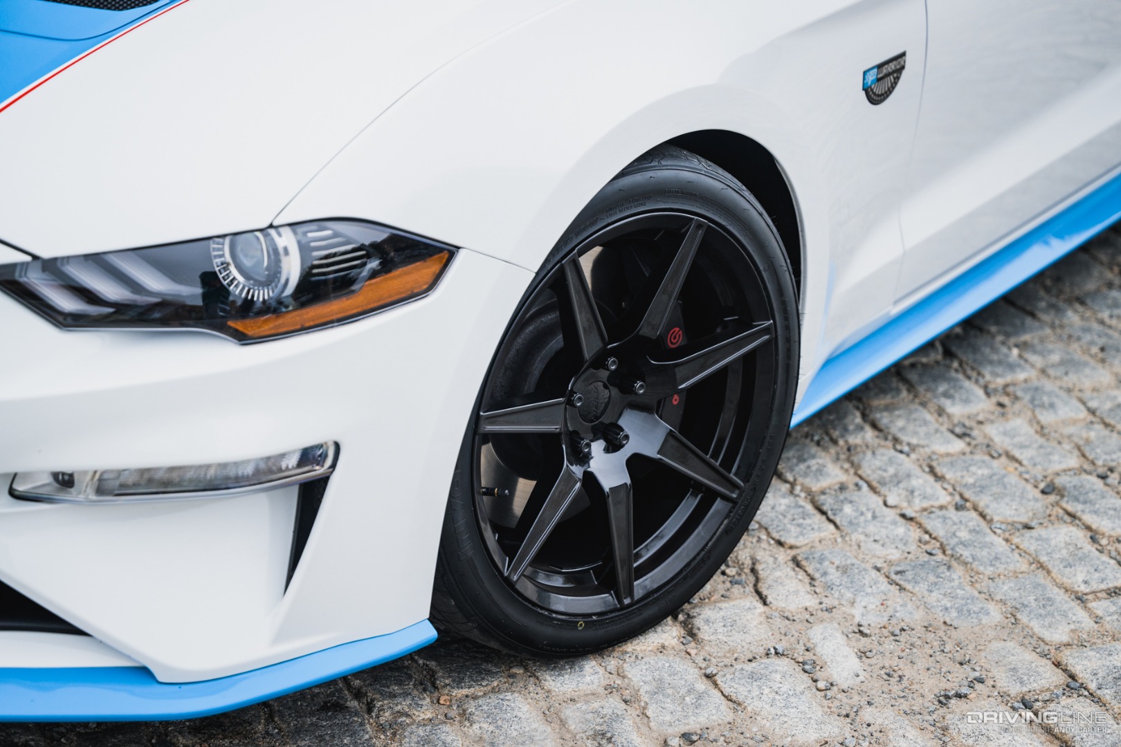 MRR GT350 wheels on Warrior Edition Mustang