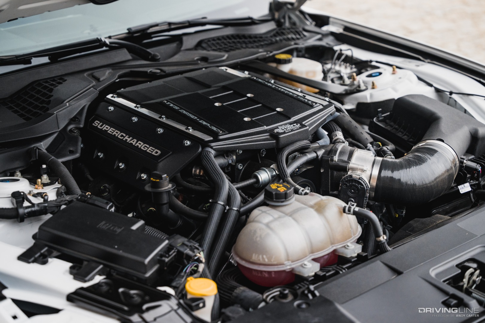 Warrior Edition Mustang with Supercharged Coyote V8