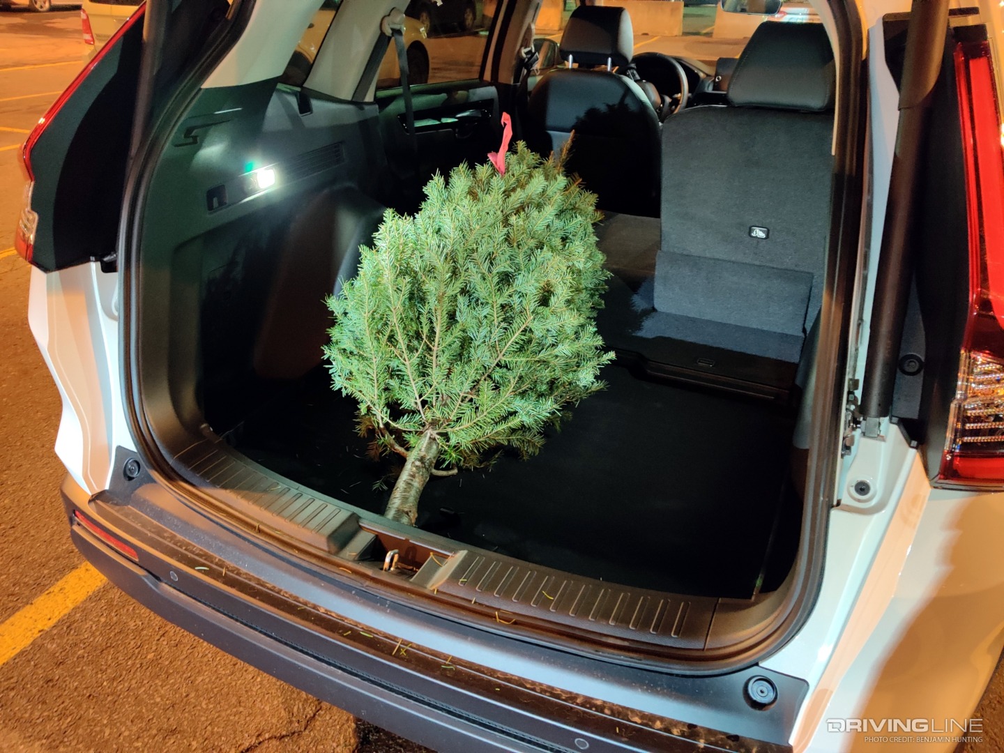2023 Honda CR-V cargo area Christmas tree