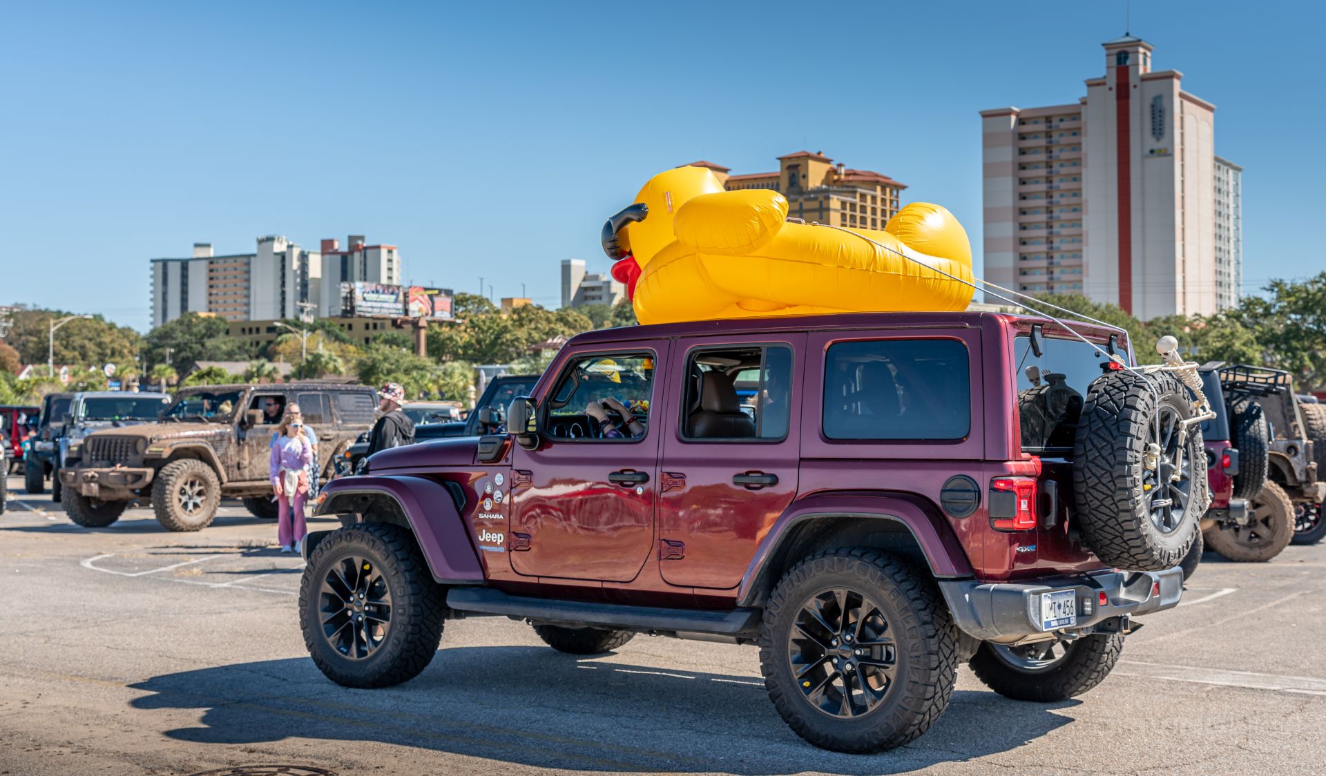duck on roof of Jeep Wrangler JL