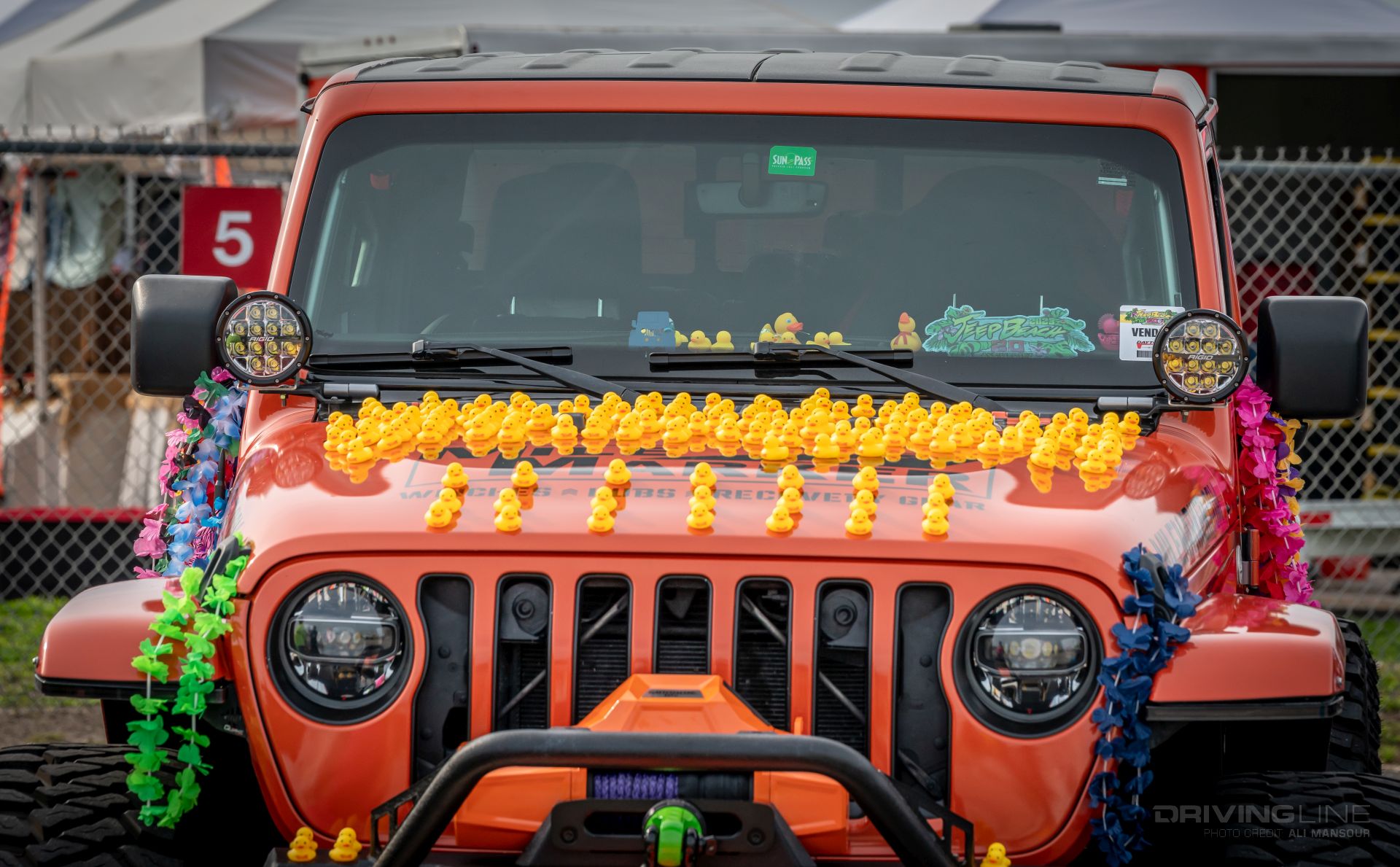 toy ducks on Jep Wrangler JL hood