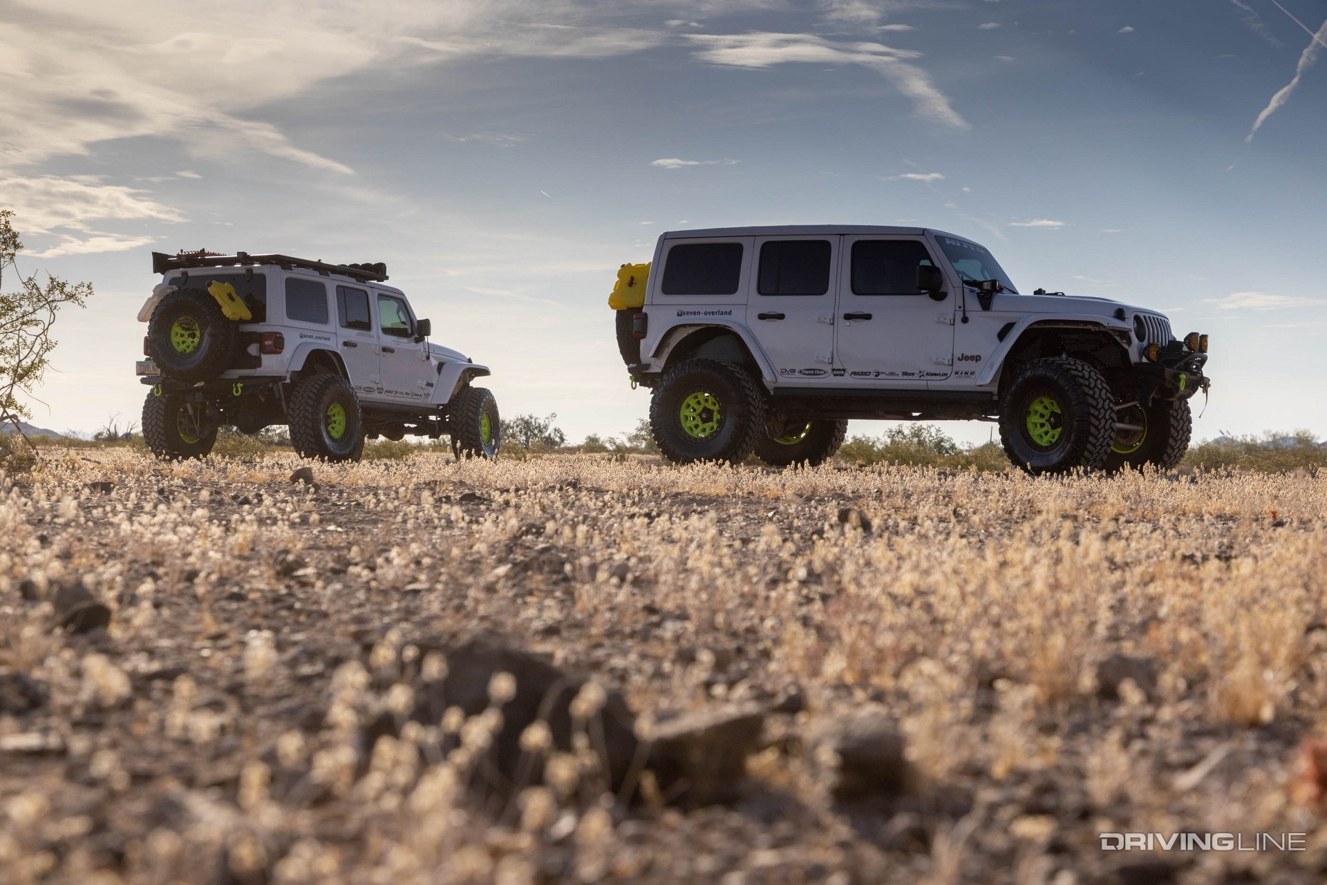 Two white Jeep Wranglers in the desert meadow