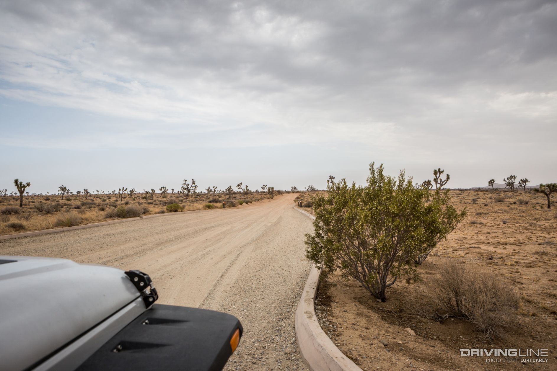 003 jeep geology tour road trailhead