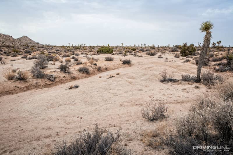 005 geology tour road joshua tree national park