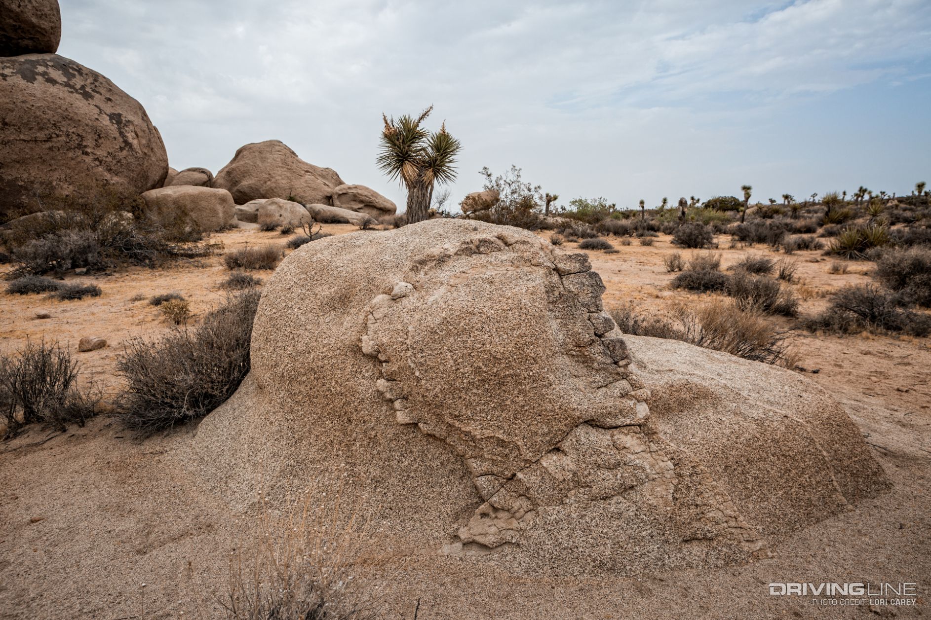 007 geology tour road joshua tree national park