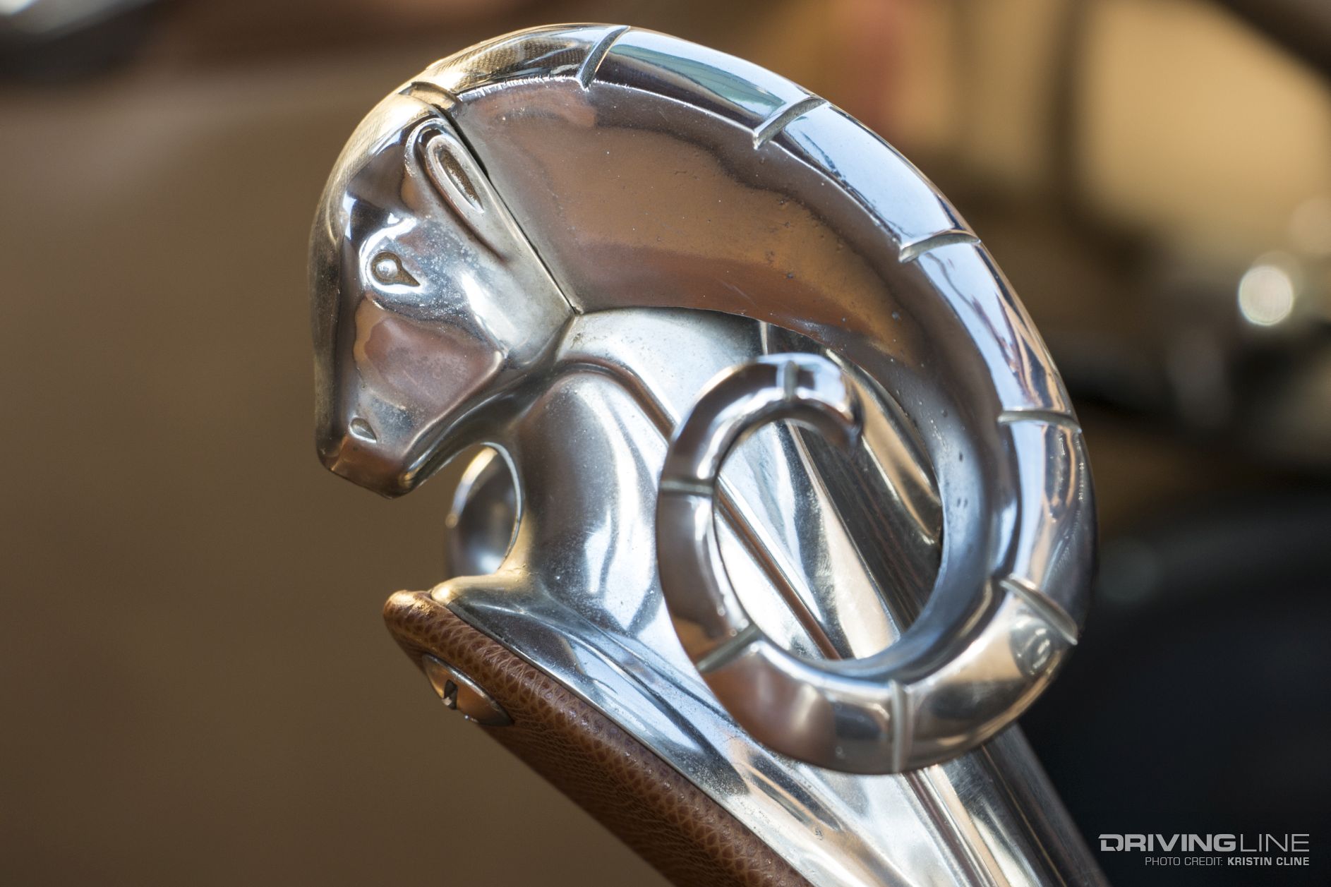 Dodge Ram Hood Ornament Transmission Shift Knob