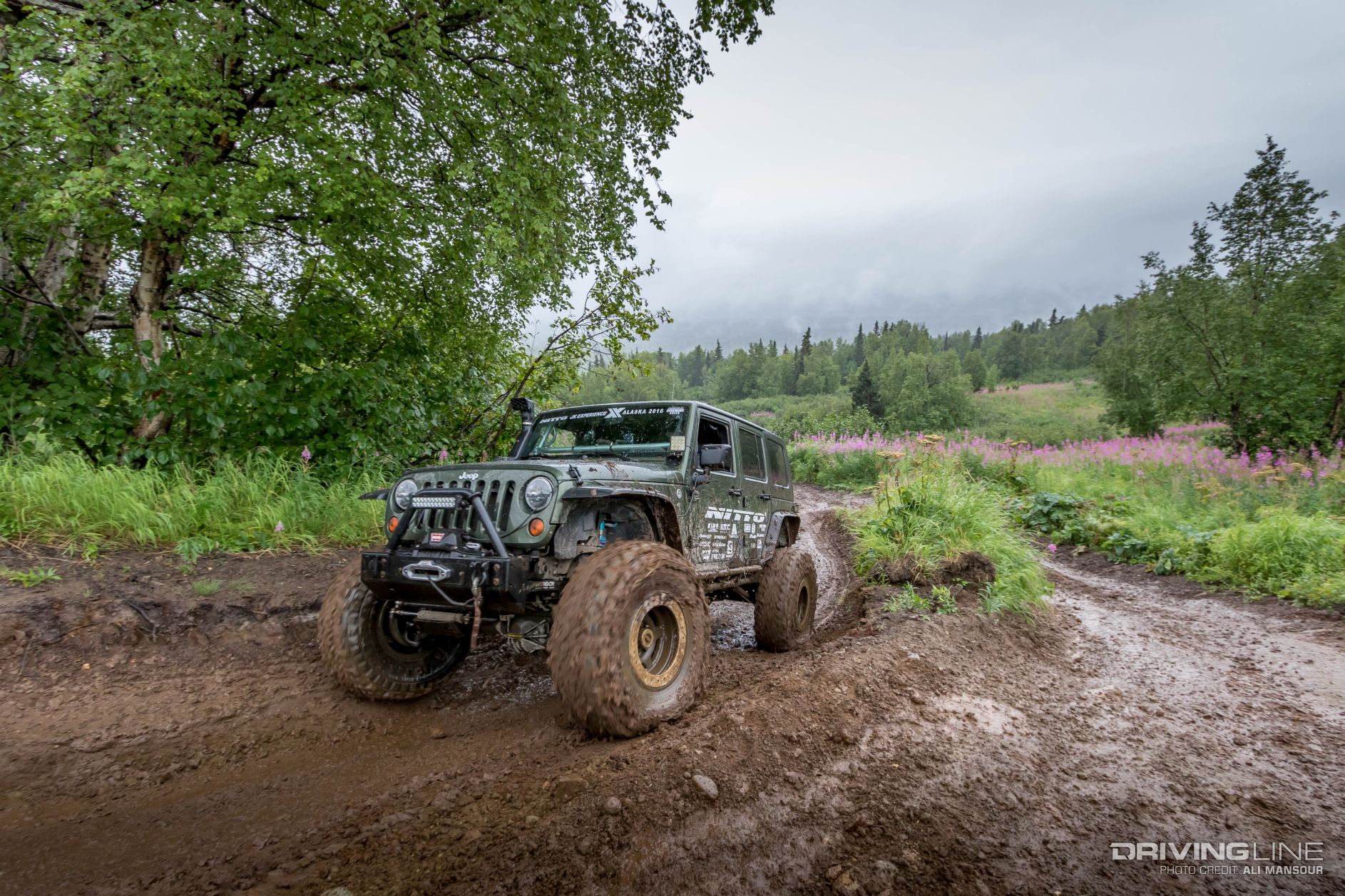 005-baldy-trail-alaska-jkx-2016