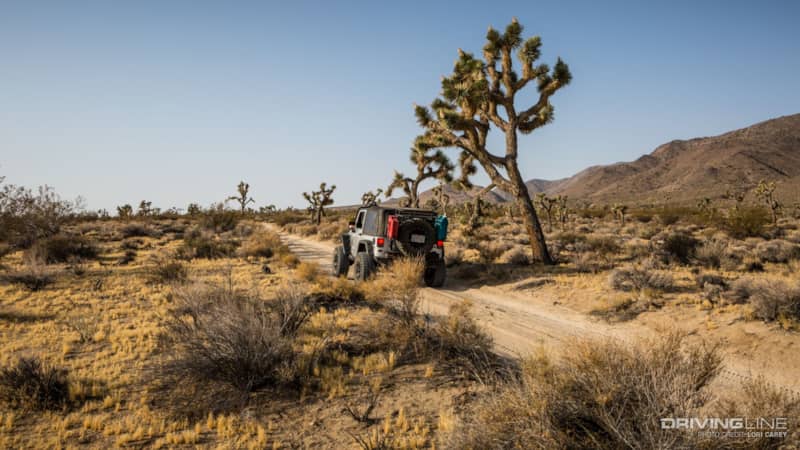 004_Jeep_Berdoo_Canyon_Trail_Joshua_Tree_National_Park