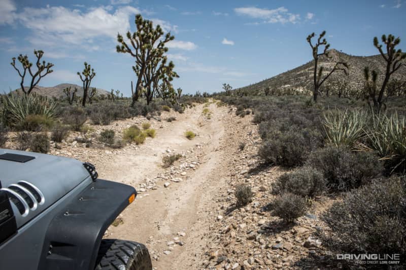 Kessler Peak Trail Off-Road Trail Review - Mojave Desert