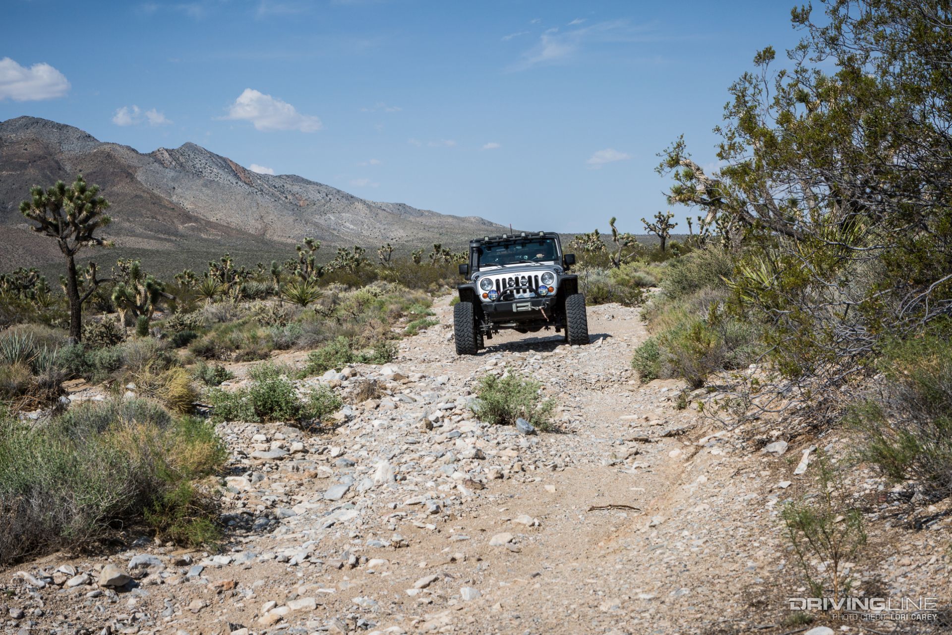 Kessler Peak Trail Off-Road Trail Review - Mojave Desert
