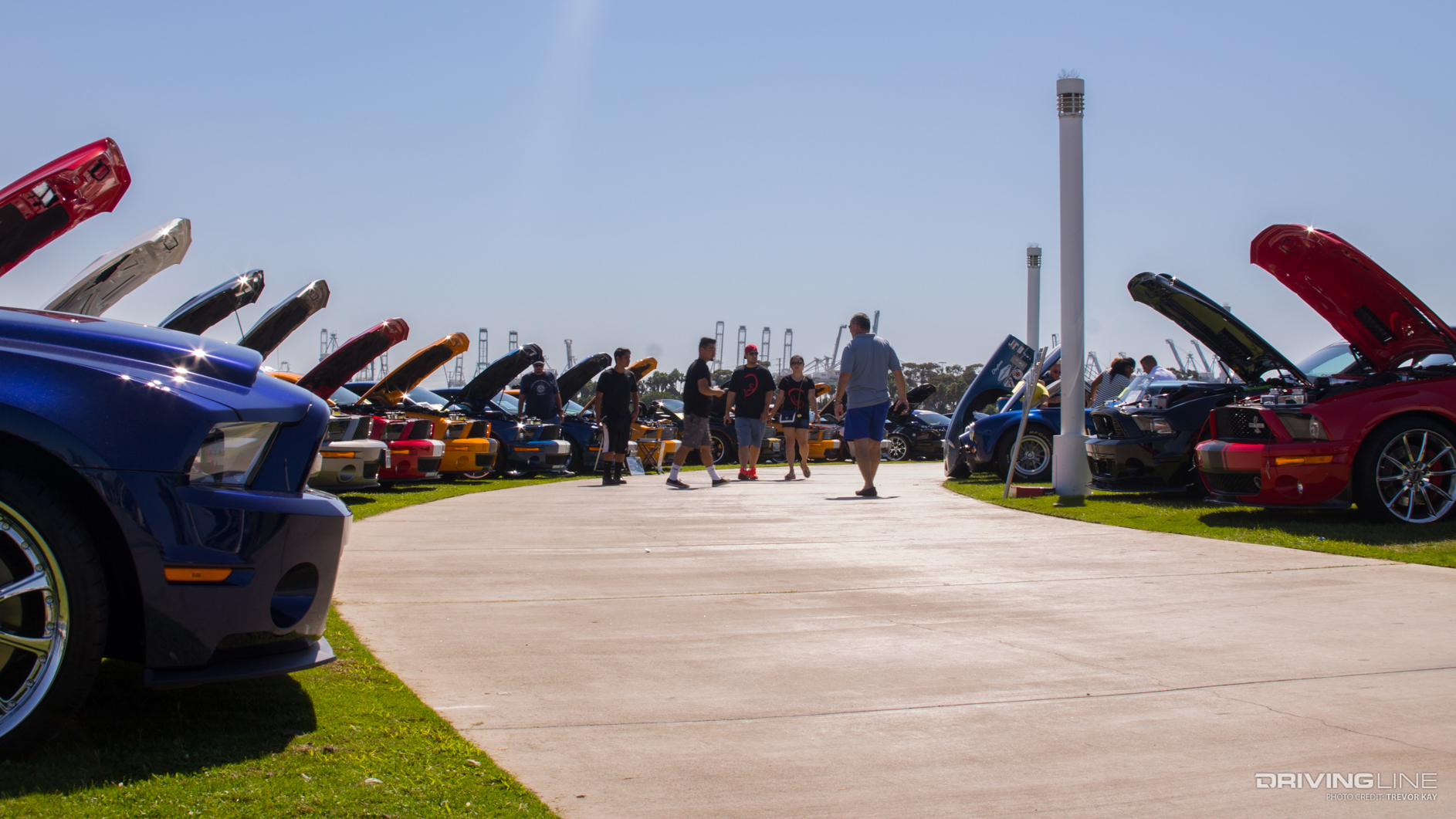 2016 Ponies at the Pike Ford Mustang Car Show