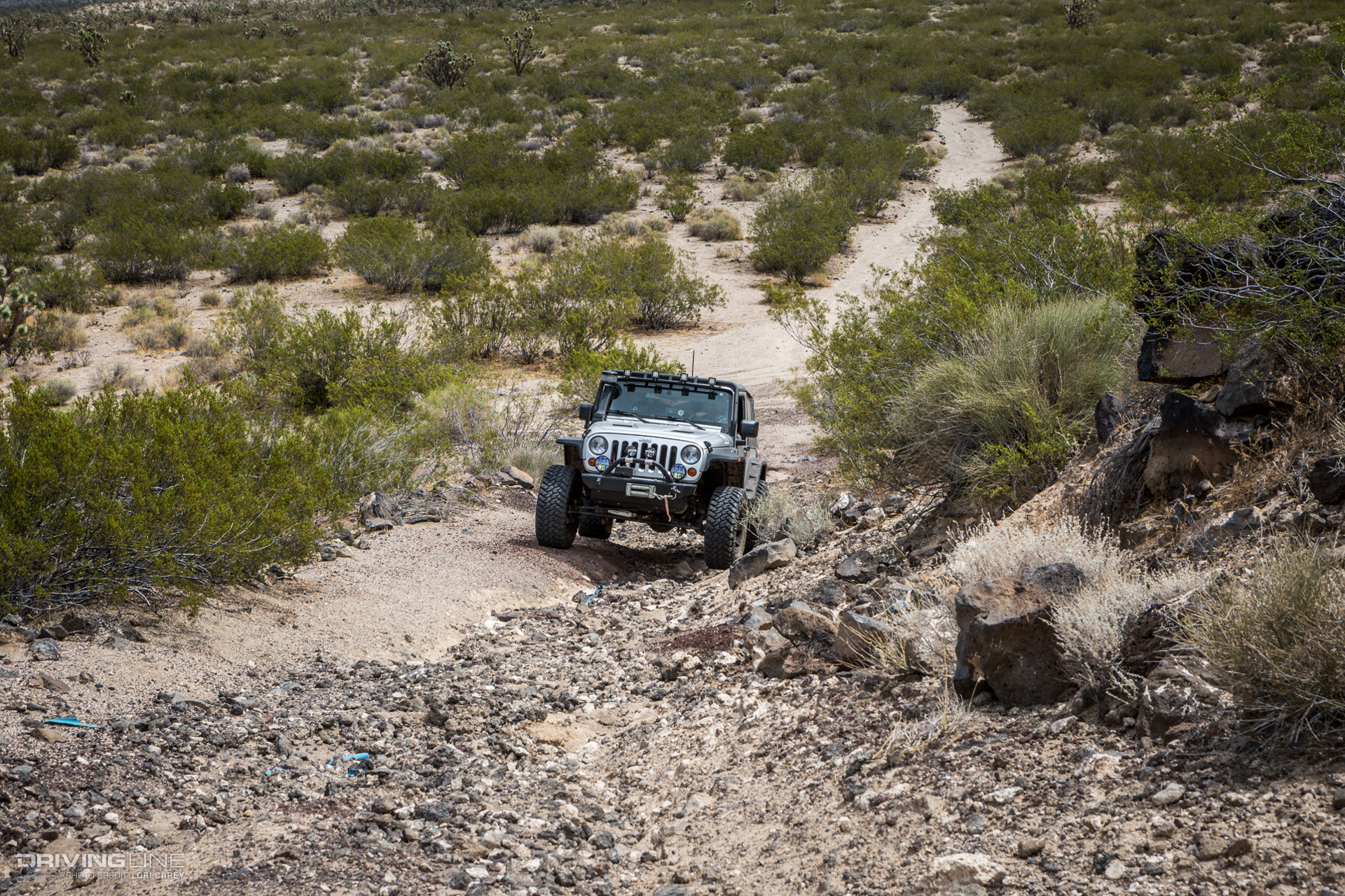 Jeep Wrangler navigating tricky terrain on Aiken Mine Trail