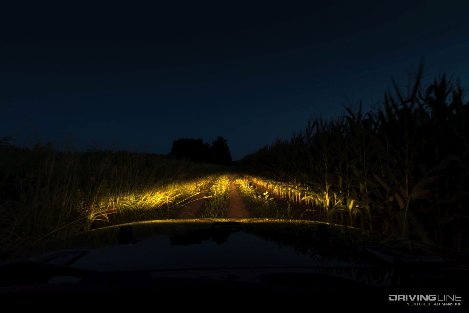 007-ARB-intensity-ar21-lights-wiring-harness