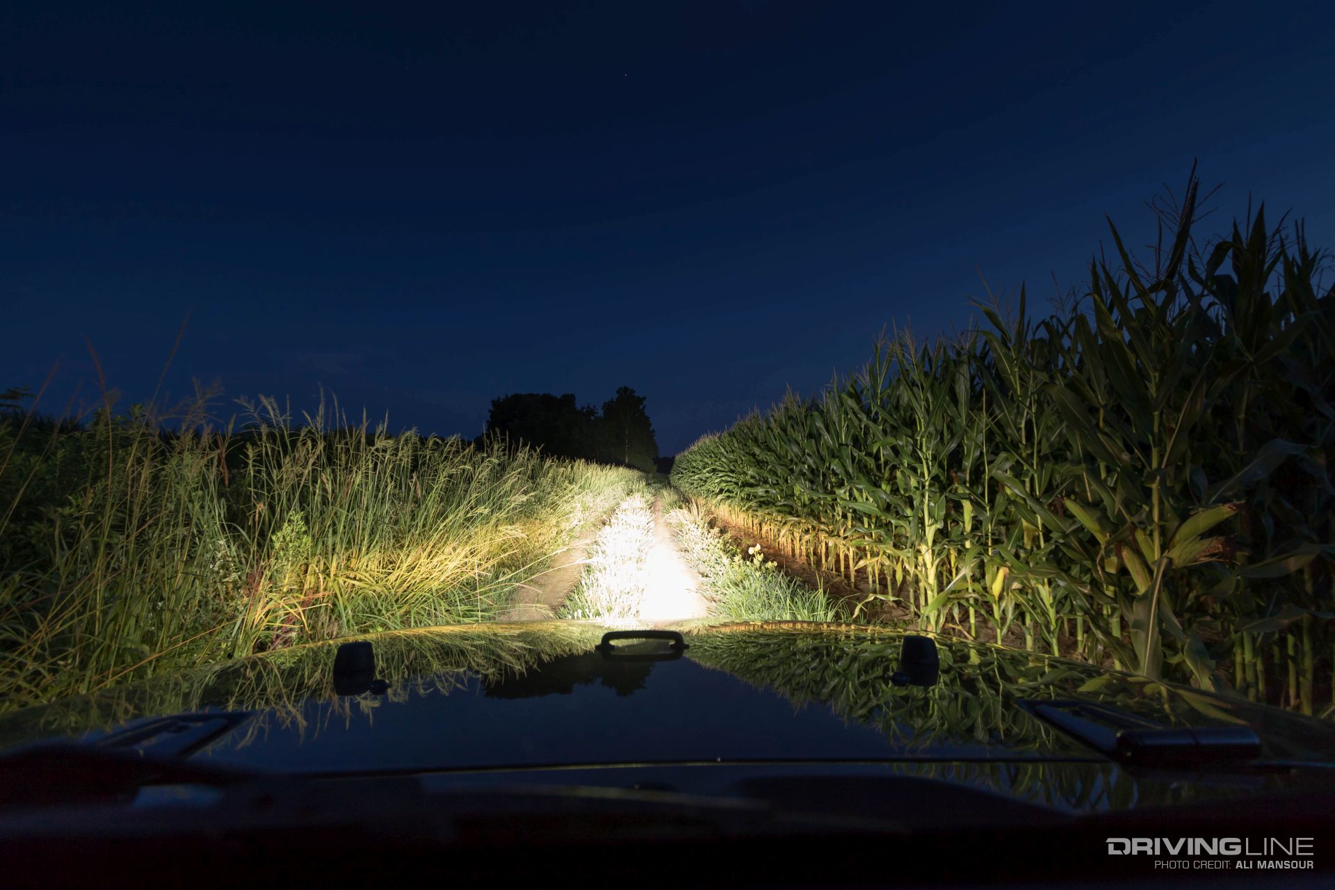 008-ARB-intensity-ar21-lights-wiring-harness