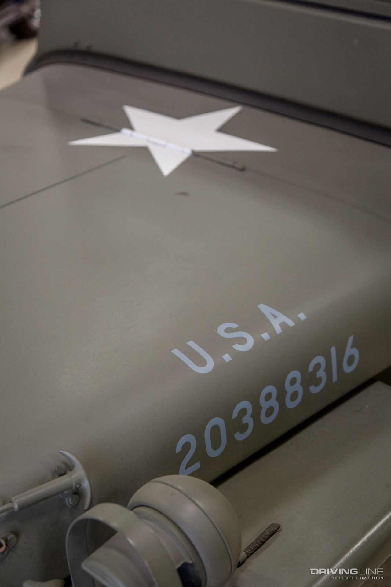 Mustard Paint Identification Paint