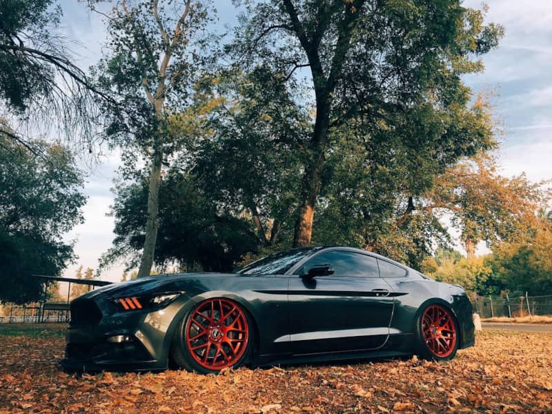 2015 Mustang GT RTR