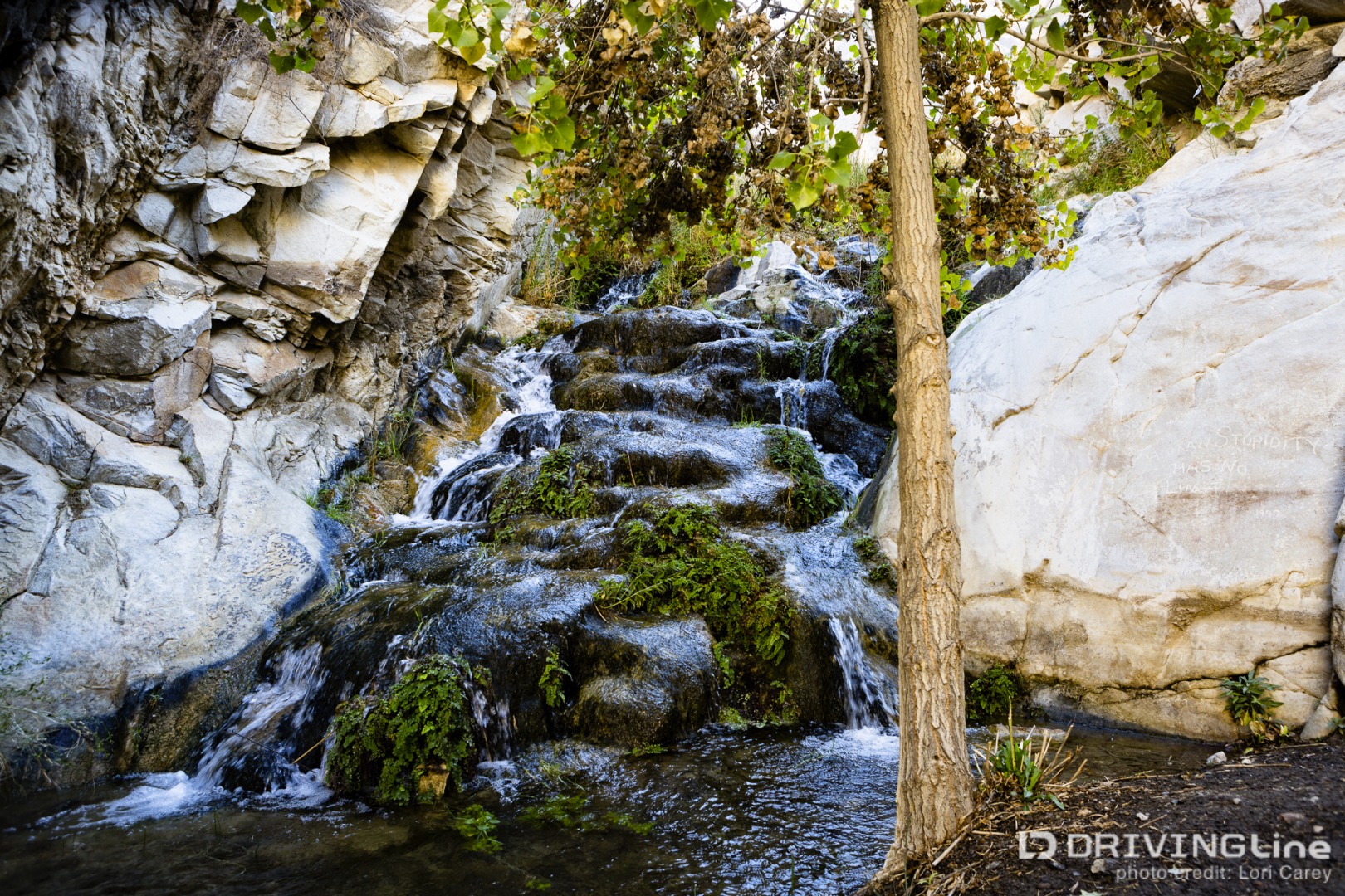 Surprise Canyon Waterfall