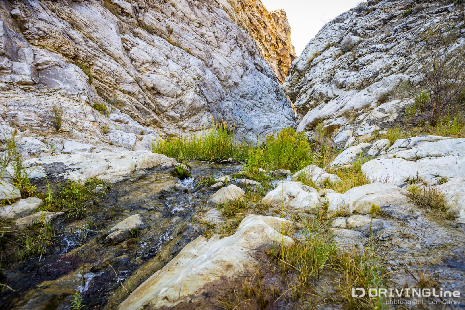 Top of the waterfalls in Surprise Canyon