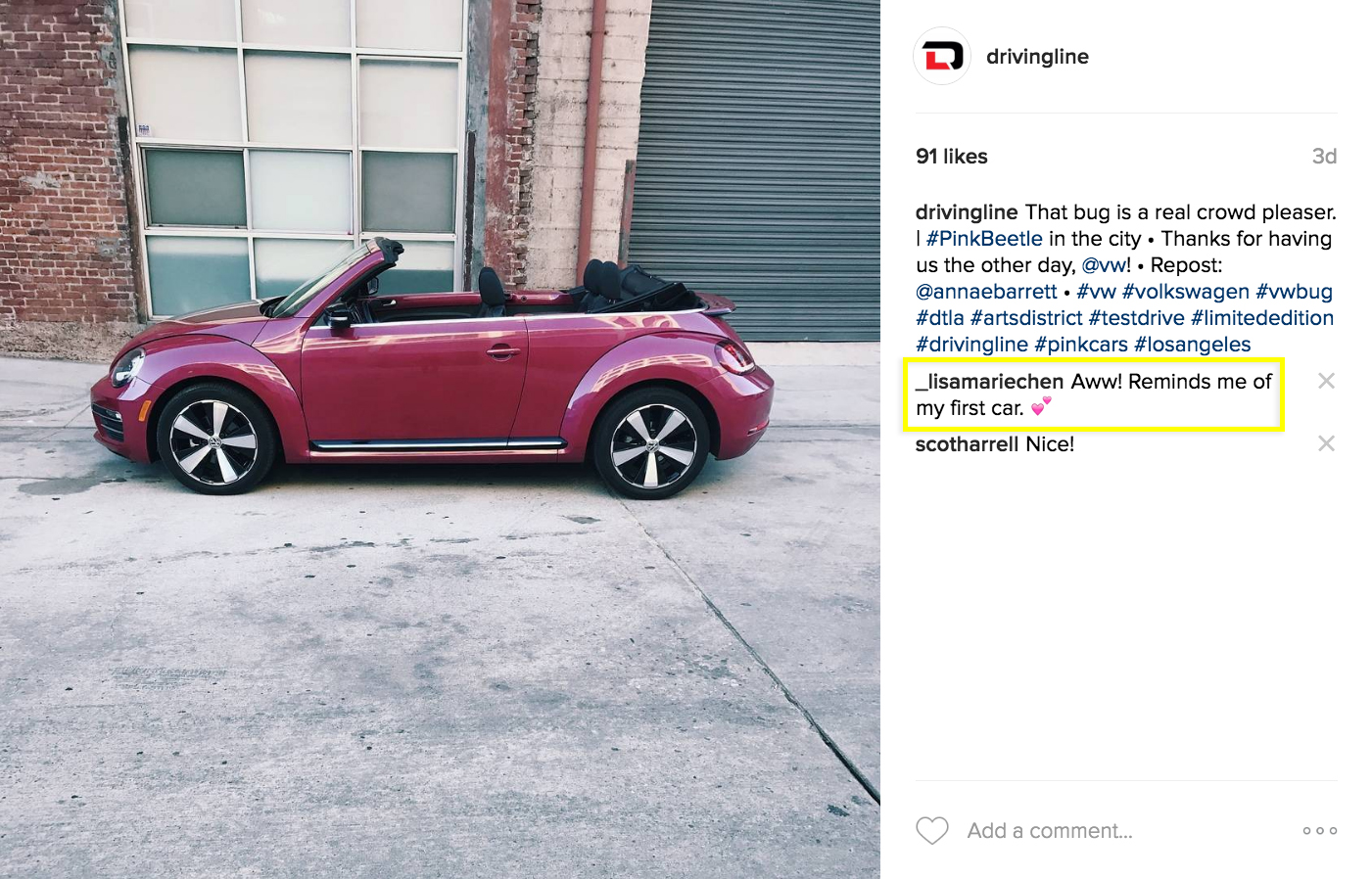 @drivingline @annaebarrett ig #pinkbeetle