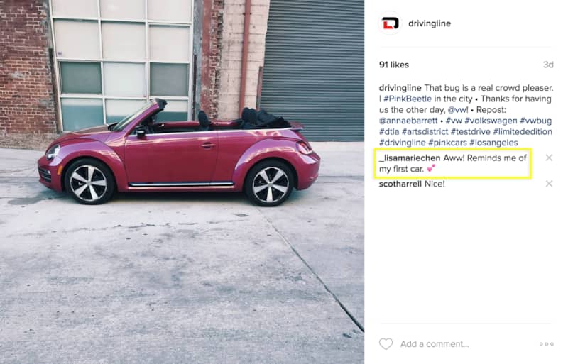 @drivingline @annaebarrett ig #pinkbeetle