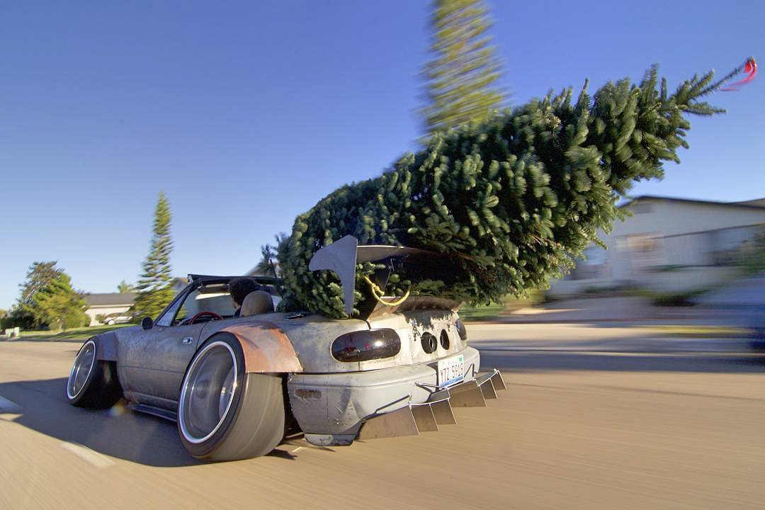 @topmiata Christmas Tree