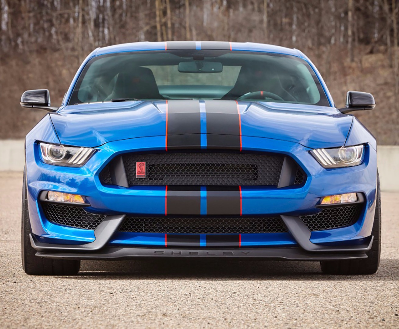 Ford Shelby 350R Muscle Car Buying Guide