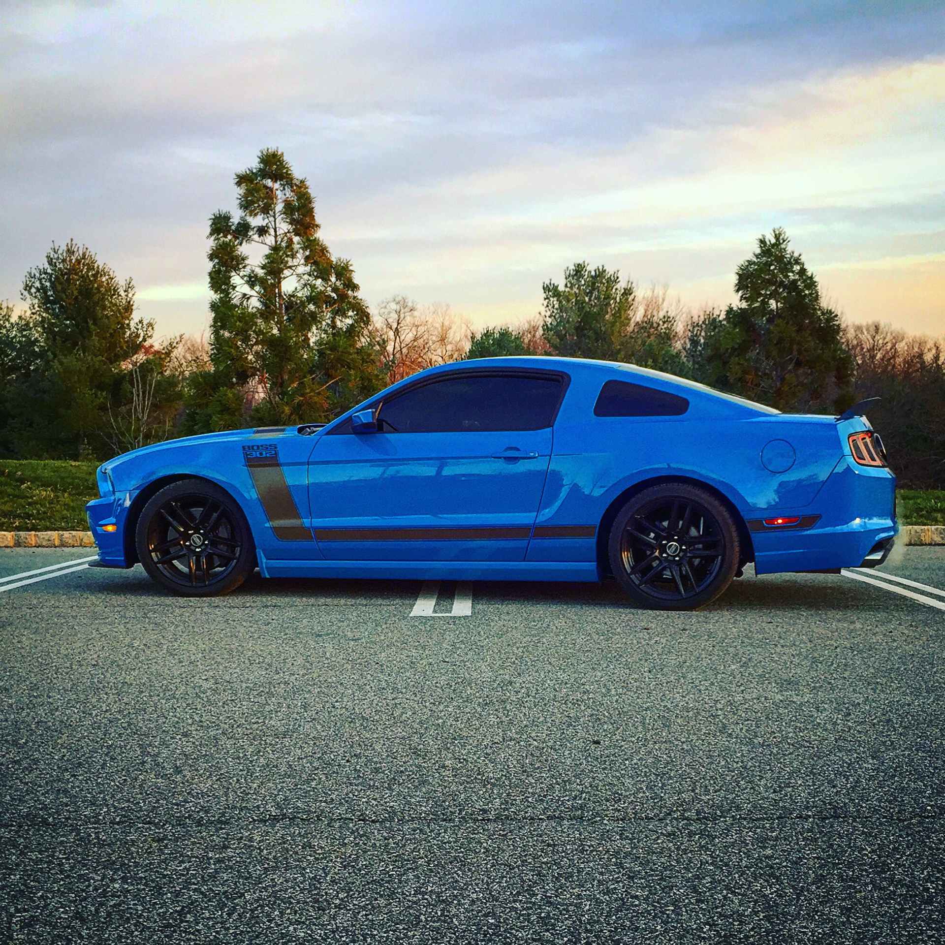 @boss_coyote side view