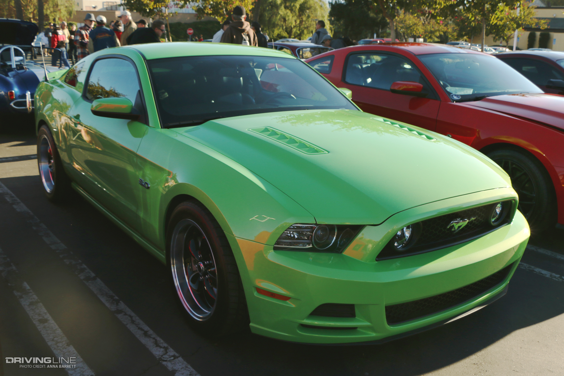 Dan Pieson's 2013 Gotta Have It Green Mustang