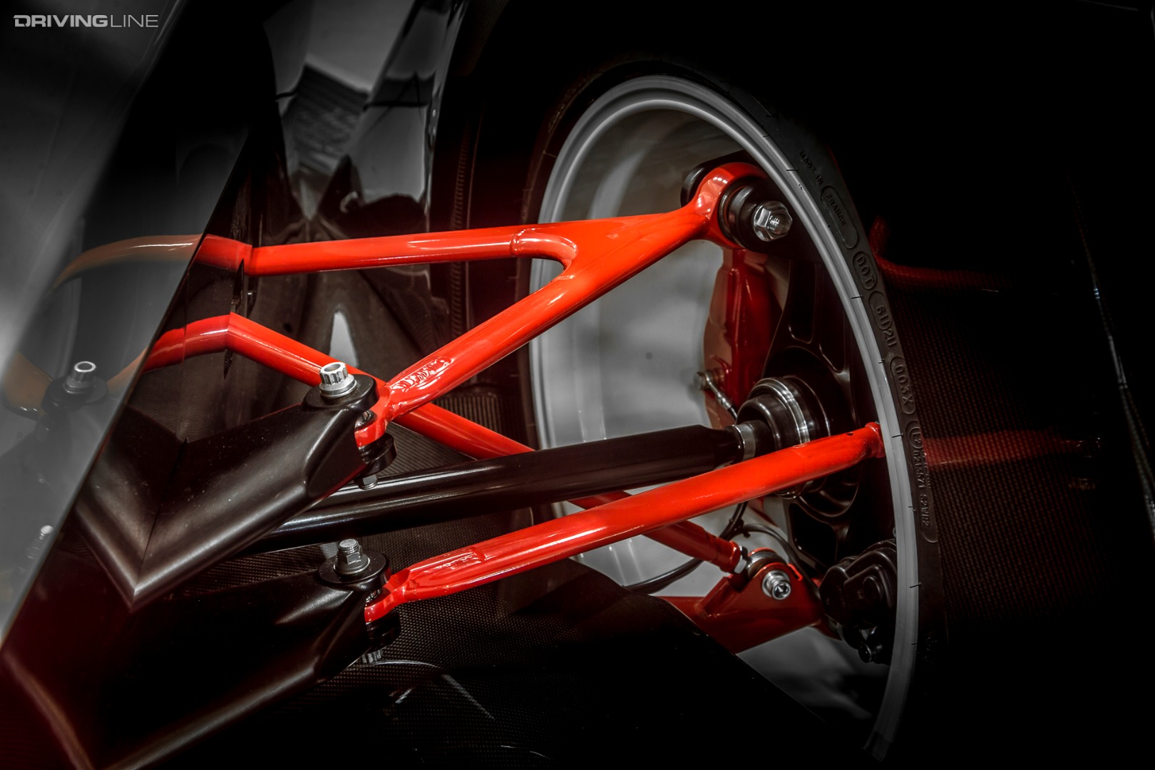 vanda dendrobium 038