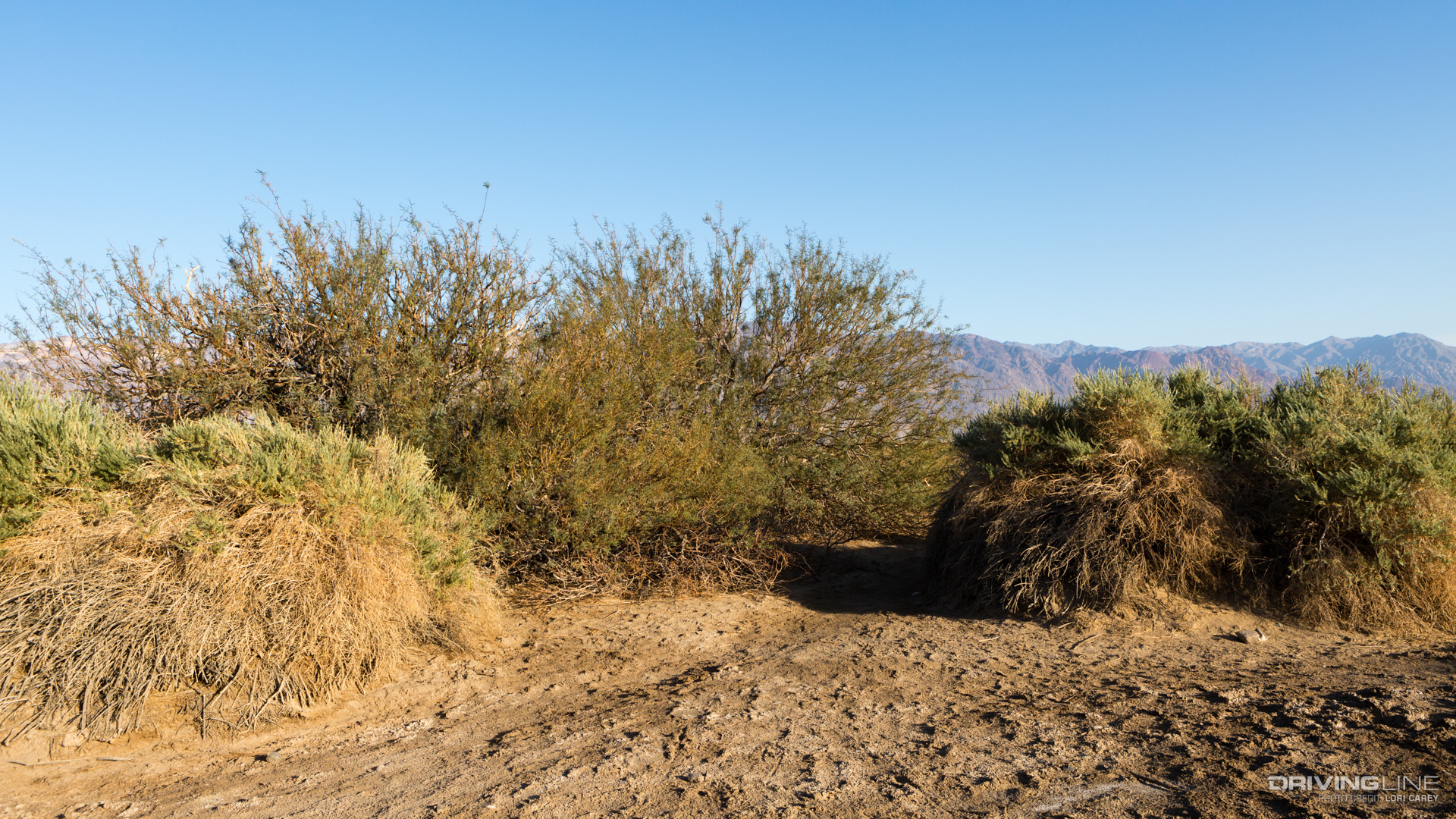 004 death valley tulle spring