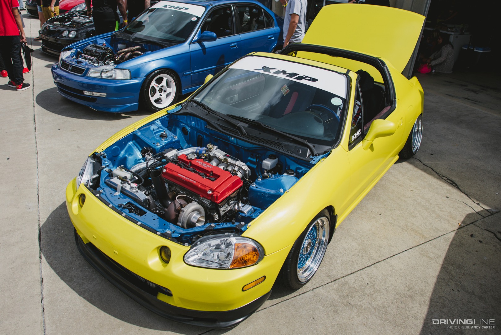 importalliance andycarter 8