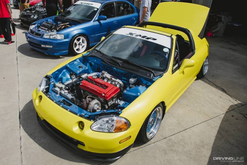 importalliance andycarter 8