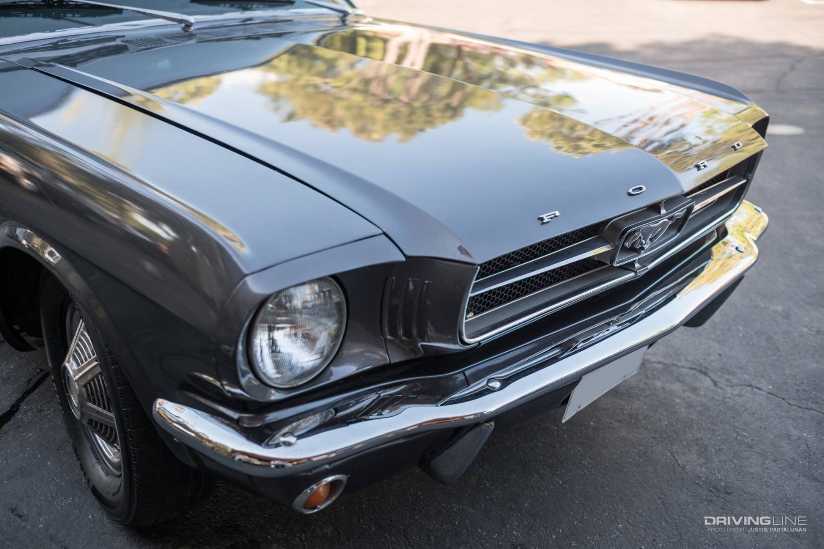 Constance Nunes - 1964.5 Mustang