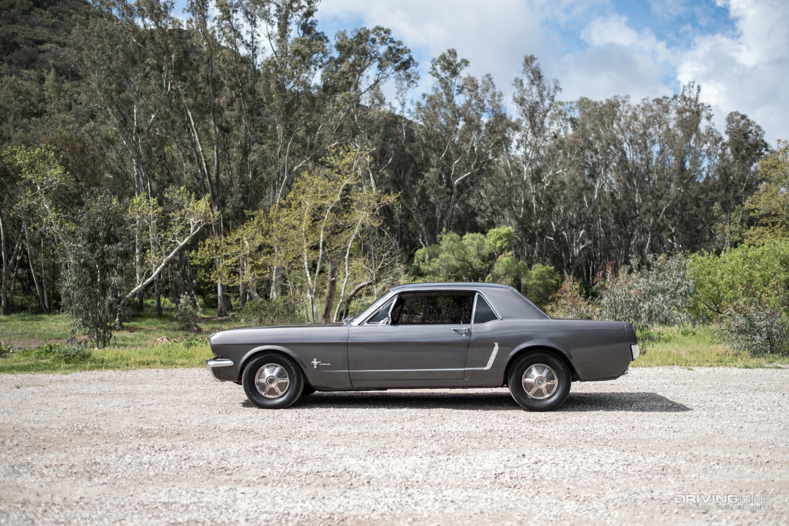 Constance Nunes - 1964.5 Mustang