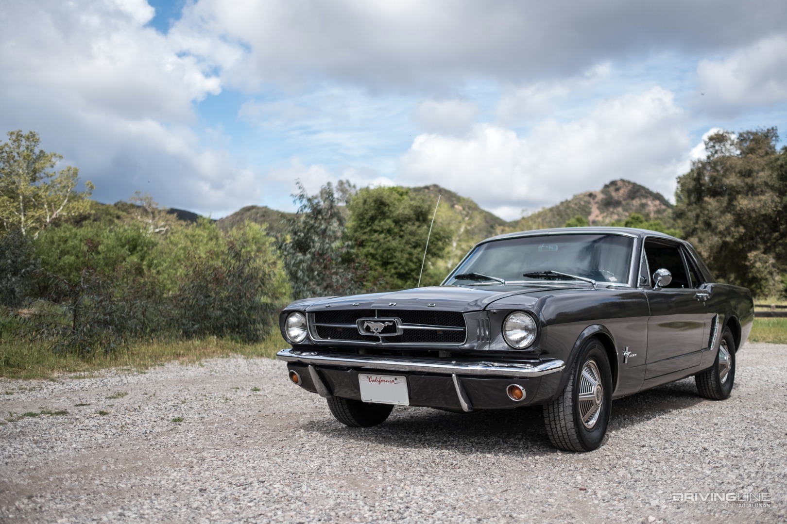 Constance Nunes - 1964.5 Mustang