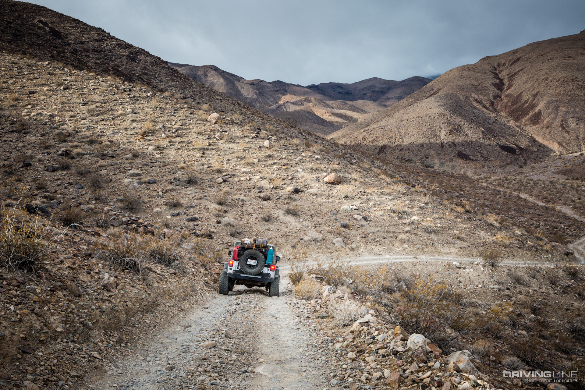Johnson Canyon Trail, Death Valley National Park