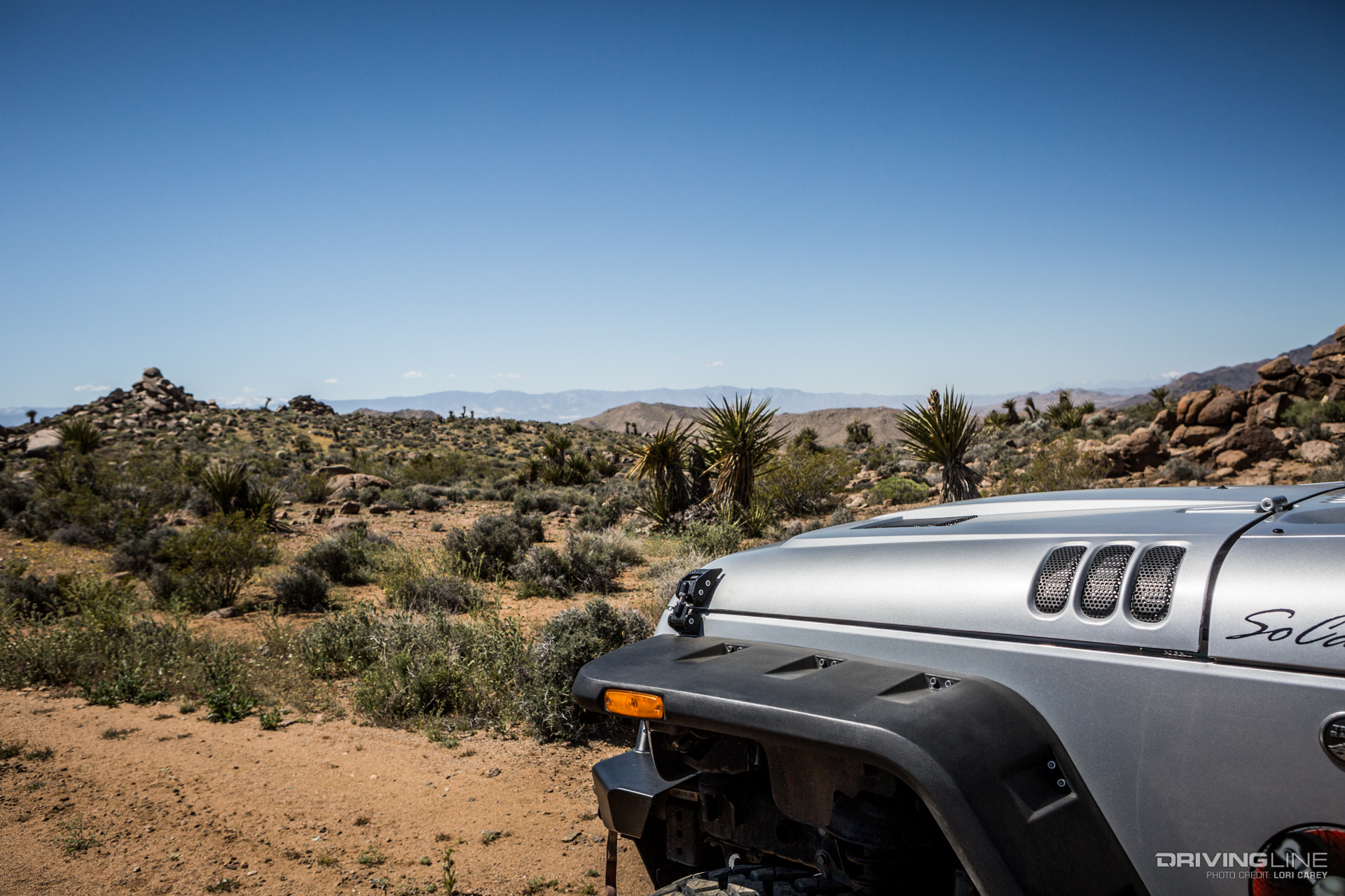001 wrangler surprise tank