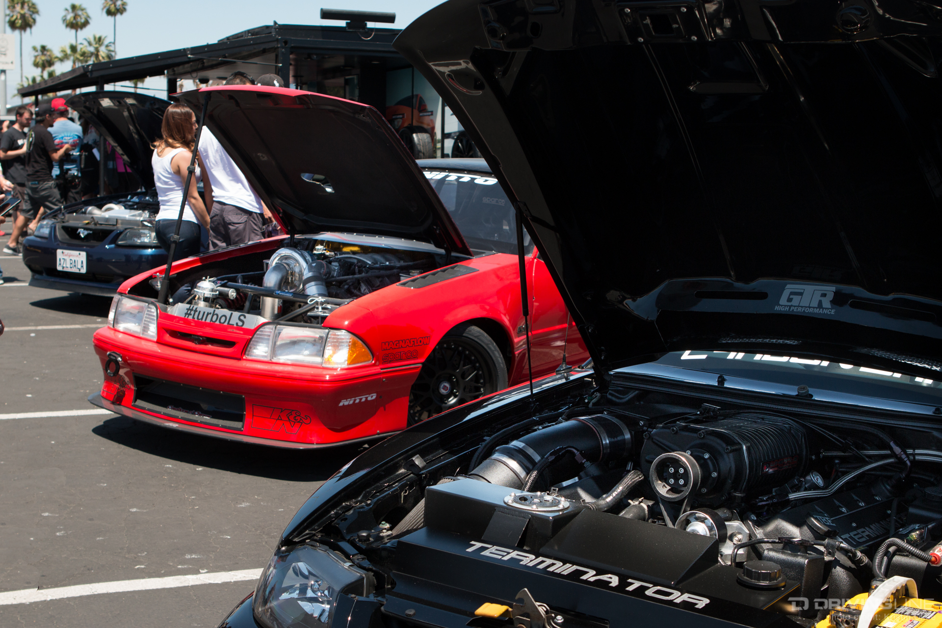 NT555G2 for Ford Mustangs at Fabulous Fords Forever