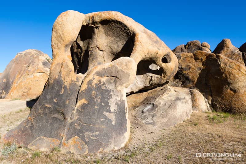 015 cyclops double arch