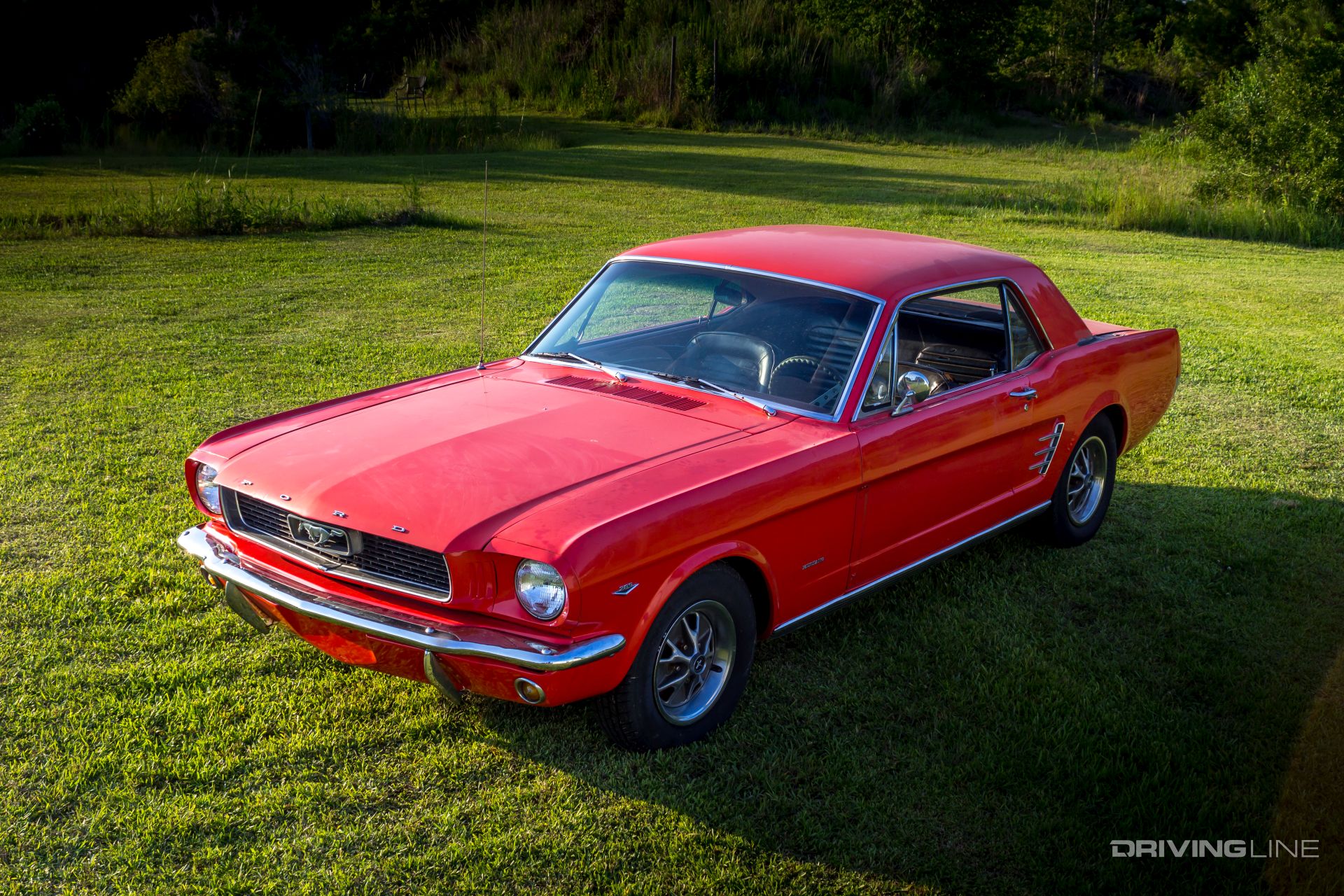 1966-ford-mustang-robo-horse