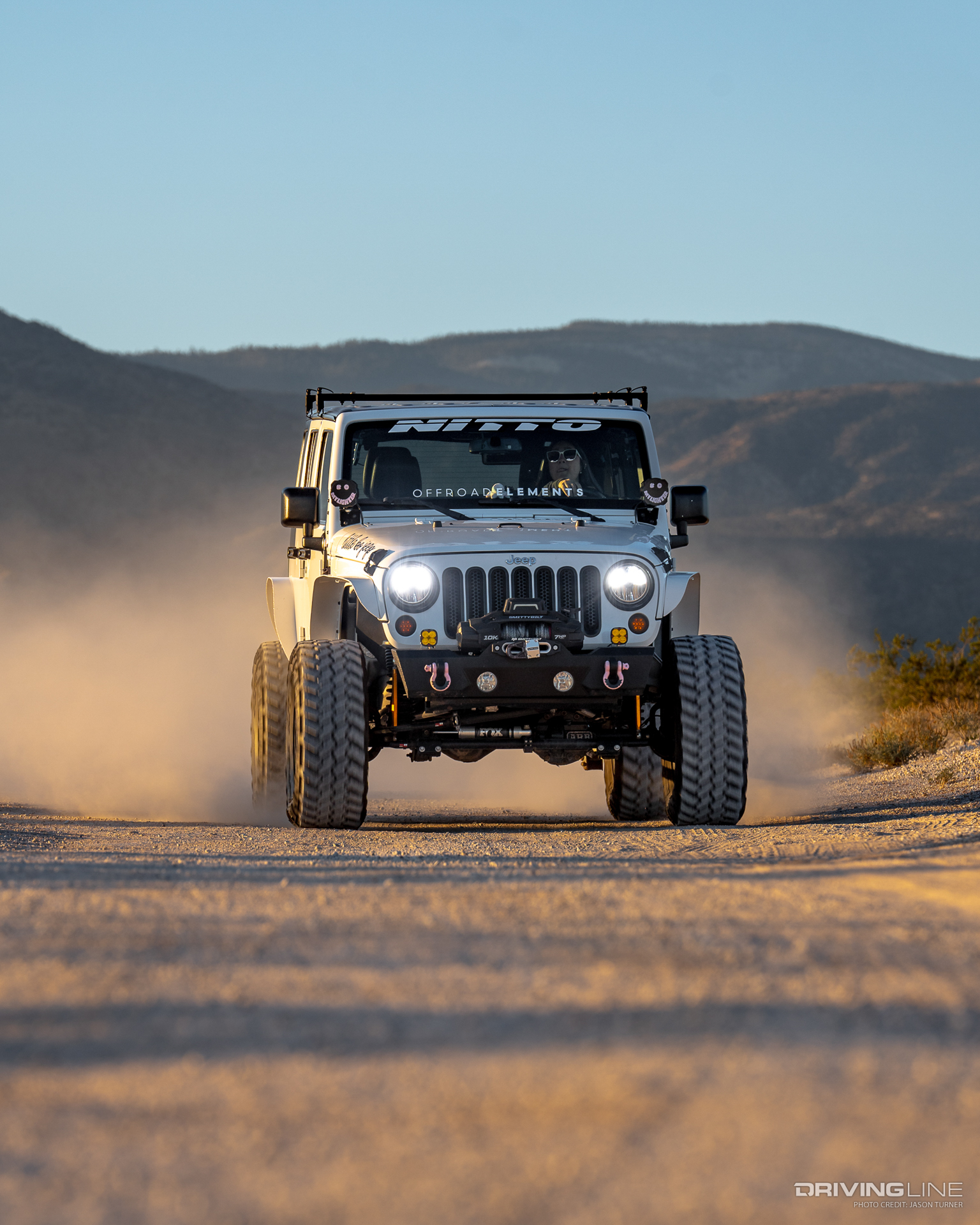 Little Bo Jeep in Desert