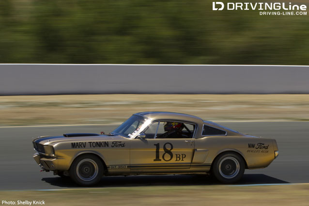 Mustang GT 350 SCCA Trans Am Pony Wars 