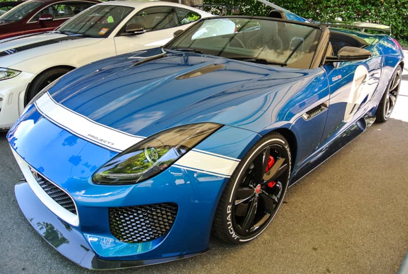 Jaguar_Project_7 (1)