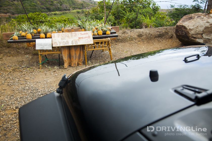 Off_Roading_in_Maui_Jeep_Travel_09