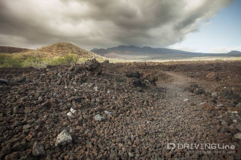 Off_Roading_in_Maui_Jeep_Travel_15