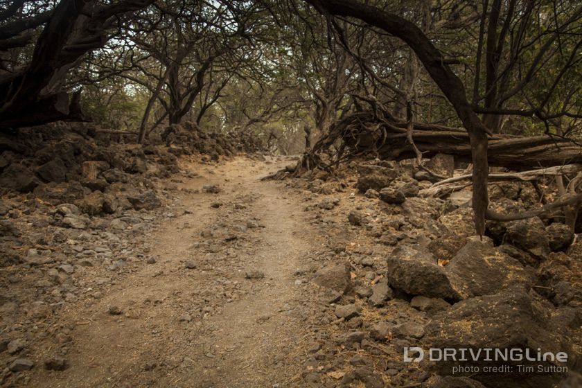 Off_Roading_in_Maui_Jeep_Travel_16