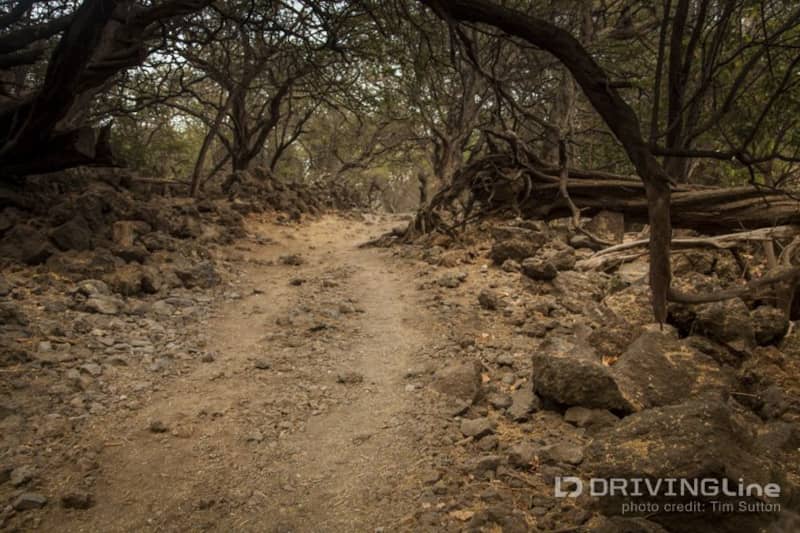 Off_Roading_in_Maui_Jeep_Travel_16