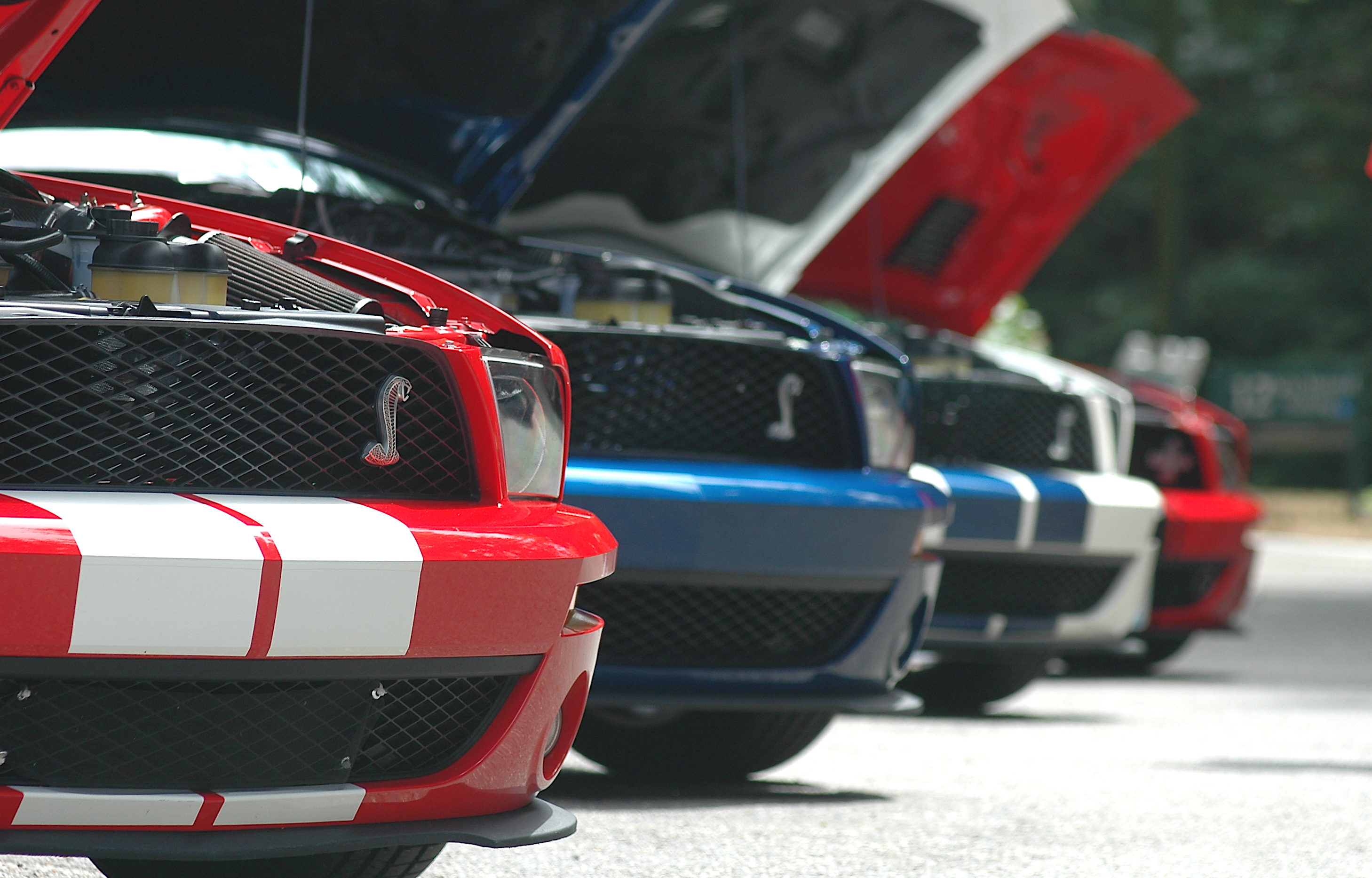 1 lead cobra profile