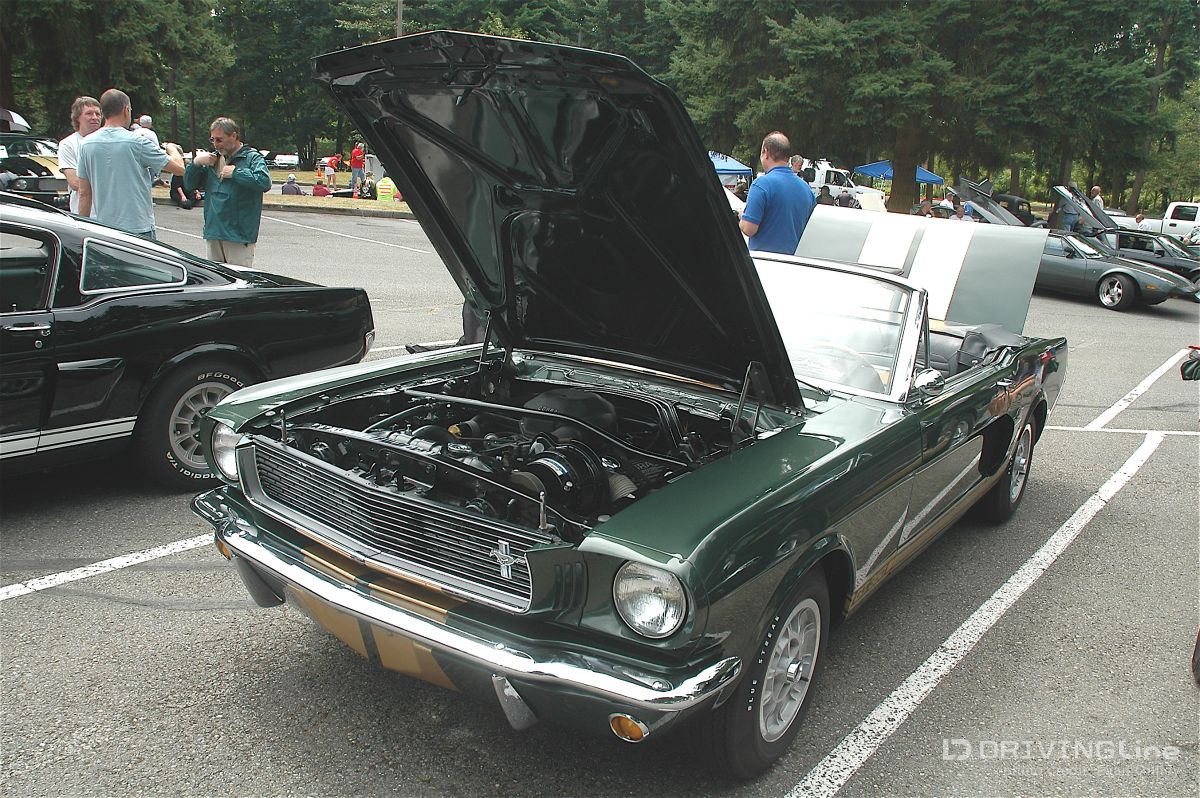 66 Shelby conv